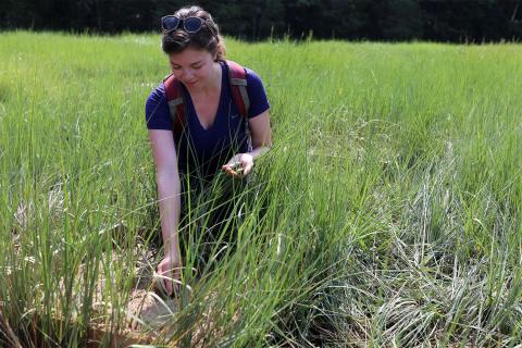 A photo of UNH PhD student Marjorie Mednikova.