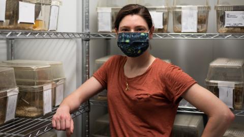 An image of a woman wearing a face mask standing in front of containers of desert mice