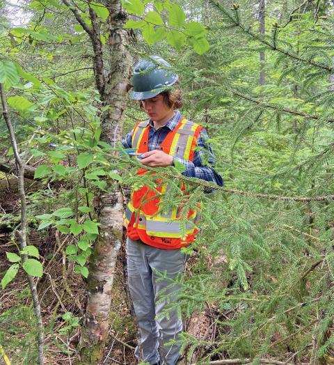 UNH forest major Nicholas Forestell measuring trees during his internship at Université Laval in Quebec City