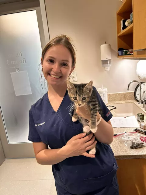 UNH veterinary technology student Ava McNamara holding a kitten