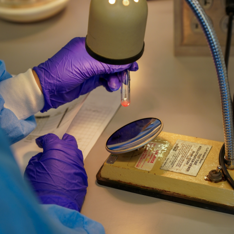 Student analyzing a blood sample under a light