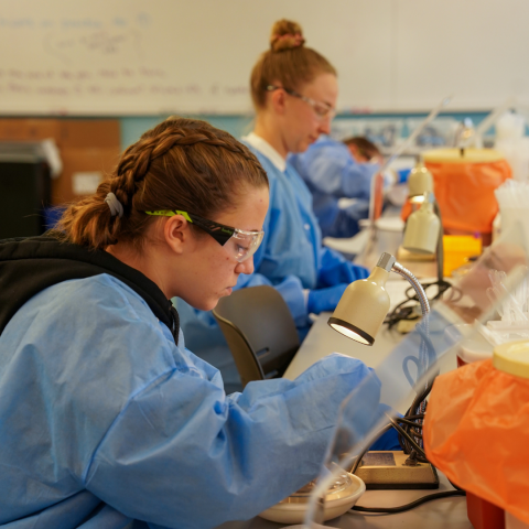 Students working in a lab