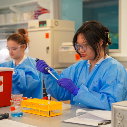 Students working on blood samples in a lab