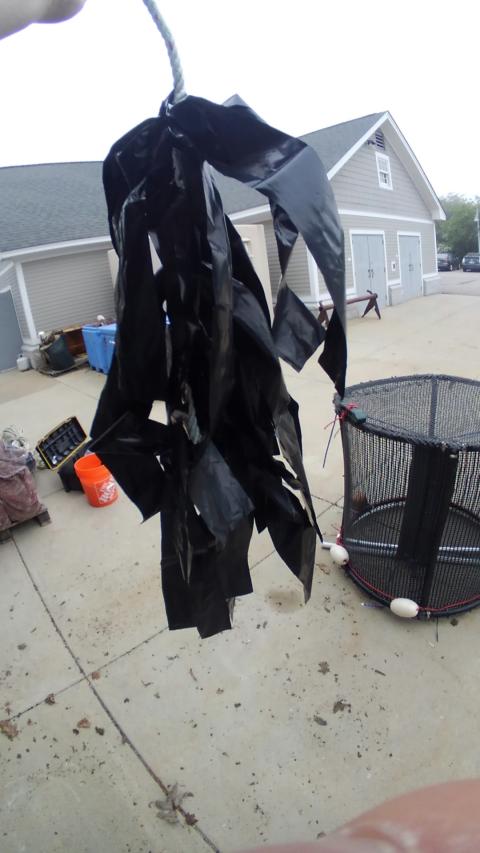 A close-up of artificial kelp structures designed to provide shelter for lumpfish in aquaculture settings.