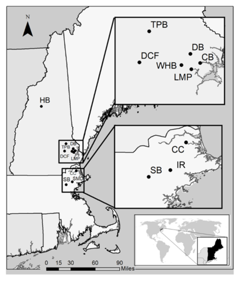 co2-monitoring-sites-map-new-england.png