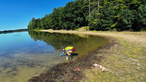 A researcher collects water samples to monitor cyanobacteria levels and assess harmful algal blooms in a freshwater lake.