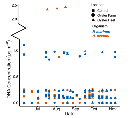 A graph depicting DNA concentrations of P. marinus and H. nelsoni in oyster reef, oyster farm, and control locations from July to November.