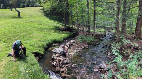 Researchers study enhanced filtration techniques in large stream ecosystems to mitigate pollutants and improve water quality.