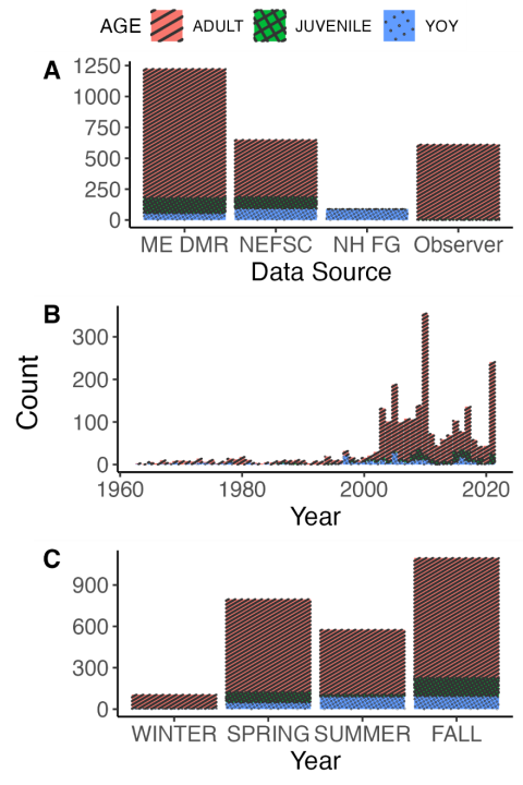 A bar graph showing lumpfish catch trends across different data sources, categorized by age groups. Data includes contributions from Maine DMR, NEFSC, NH FG, and observer reports.