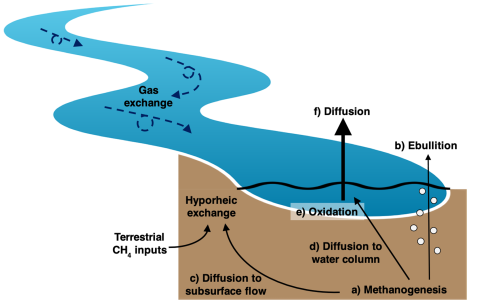 A conceptual diagram illustrating methane production, oxidation, and emission processes in stream ecosystems.