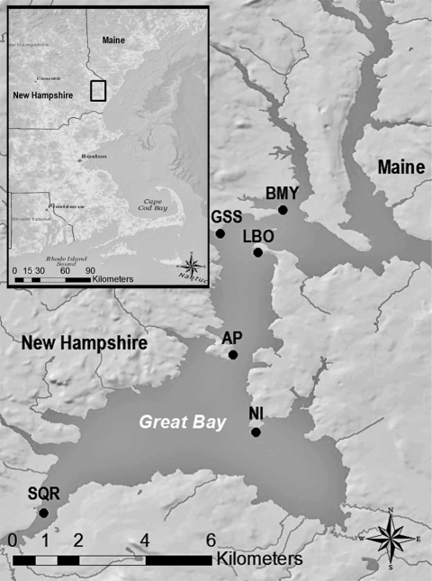 A geographic map highlighting oyster sampling locations across Great Bay, New Hampshire, and Maine, used for studying ecosystem services and water quality.