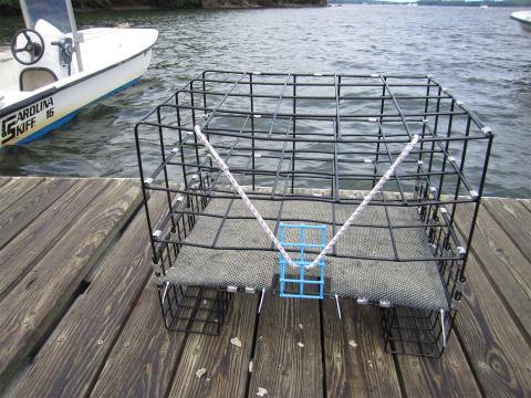 A sturdy oyster rack used in aquaculture research, placed on a dock with a boat in the background. This structure aids in oyster growth and monitoring in marine environments.