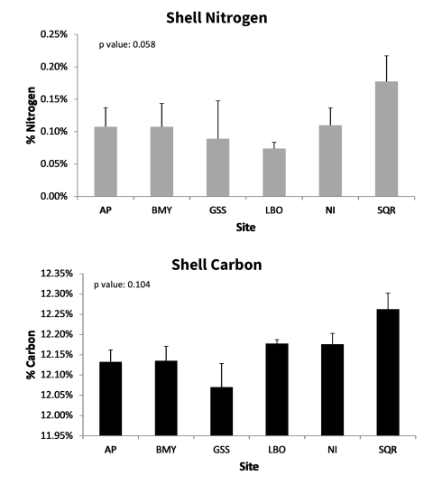 A bar graph showing nitrogen and carbon content in oyster shells across different sampling sites, assessing their role in nutrient sequestration.