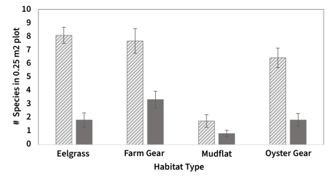 A bar graph displaying the number of species per habitat type, comparing eelgrass, farm gear, mudflat, and oyster gear ecosystems.