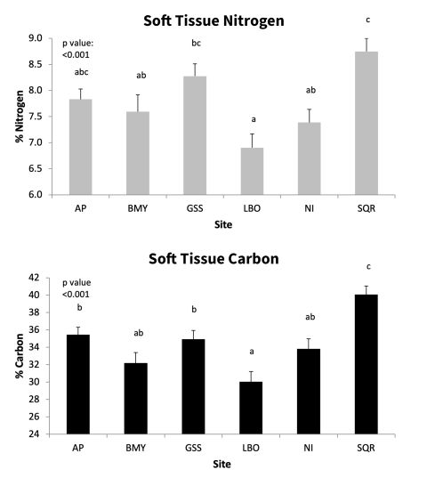 A bar graph depicting nitrogen and carbon percentages in oyster soft tissues at various sampling sites, illustrating their role in nutrient cycling.