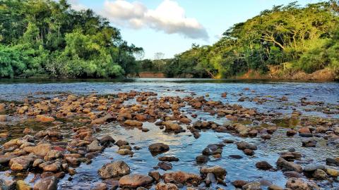 A tropical river with exposed rocky formations plays a crucial role in carbon cycling, acting as a natural carbon sink. Research led by Bill McDowell explores how river systems contribute to global carbon sequestration and climate regulation.