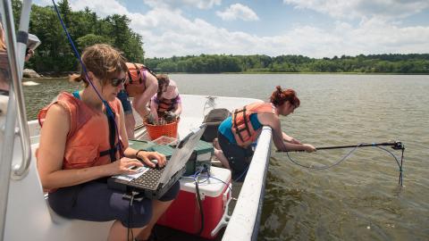 Scientists examine Vibrio bacteria in oysters to ensure seafood safety and minimize risks to human health.