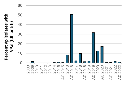 A bar graph showing the percentage of Vibrio parahaemolyticus isolates that carry virulence-associated genes (tdh or trh) from 2008 to 2022.