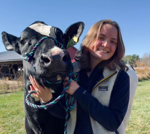 UNH veterinary technology student Madeline Mailhot stands next to a cow