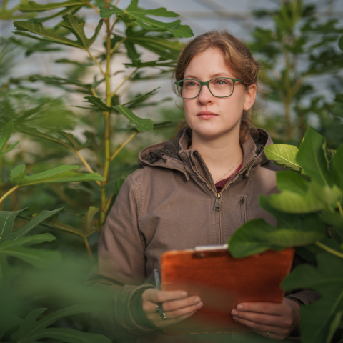 UNH student holding a clipboard in a greenhouse