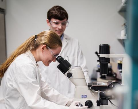 COLSA students looks into microscope in the tissue culture lab in Spaulding Hall