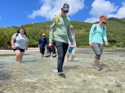 Five University of New Hampshire students wading in shallow water in the British Virgin Islands