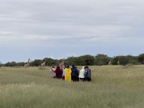 UNH students in Namibia standing in field looking at giraffes