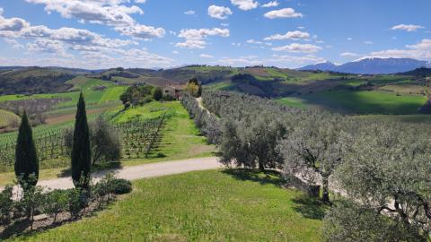 UNH in Italy Field