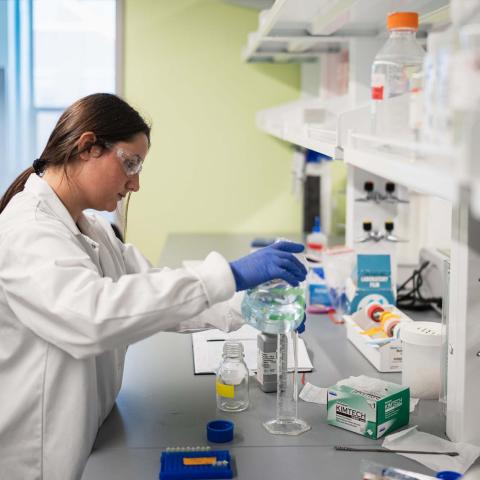 UNH COLSA student Olivia Lucia conducts research