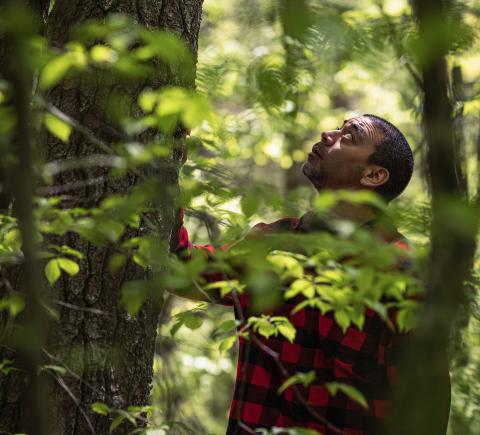 COLSA faculty Ranjit Bawa examines a tree for signs of impact by wood invasives