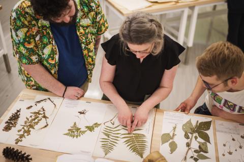 Three people examine specimens from the UNH herbarium.