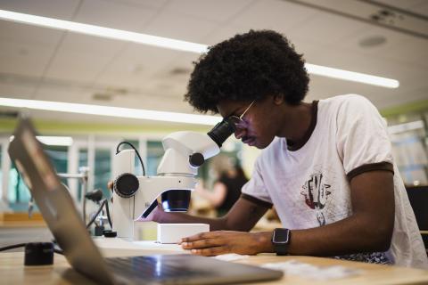UNH student looks through microscope at specimen from the UNH Collection of Insects and Other Arthropods