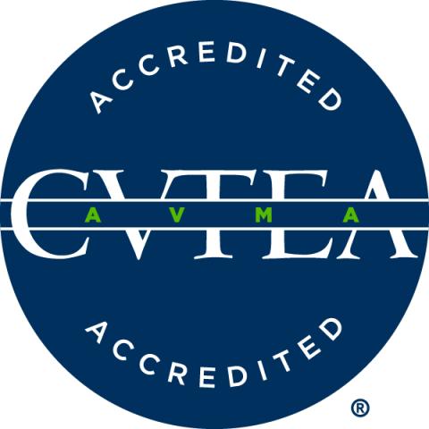 CVTEA