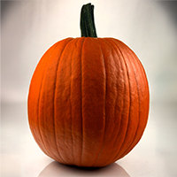 Large pumpkin
