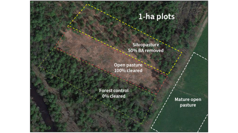 An aerial view of the research sites at the UNH Organic Dairy Research Farm.