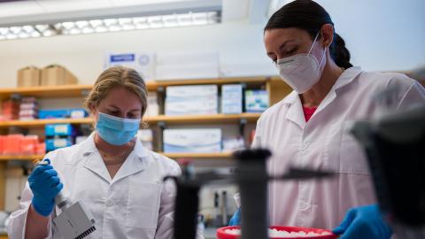 A thumbnail of two researchers in masks and lab coats in a biology lab