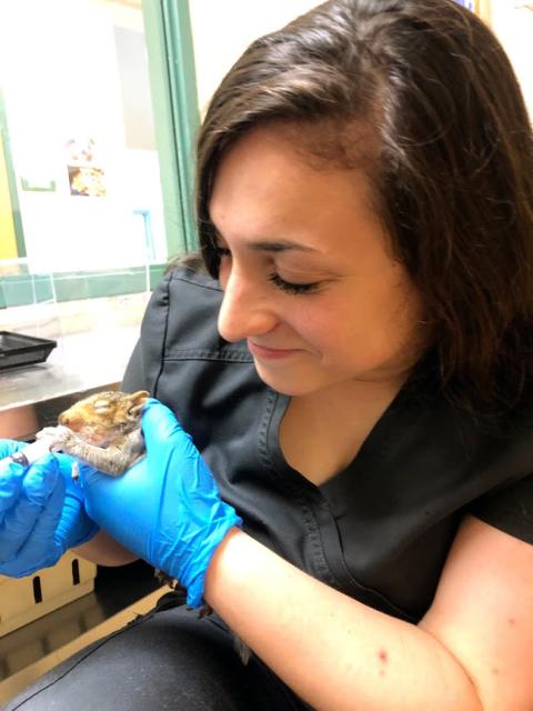 UNH biomedical science major Alexia Gianoulis '21 UNH biomedical science major Alexia Gianoulis '21