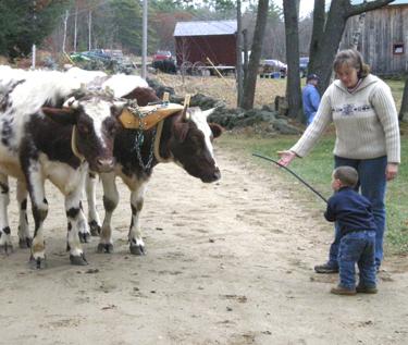 Alyson Bronnenberg and child with oxen