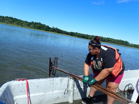 An aquaculture researcher working in New Hampshire's Great Bay Estuary