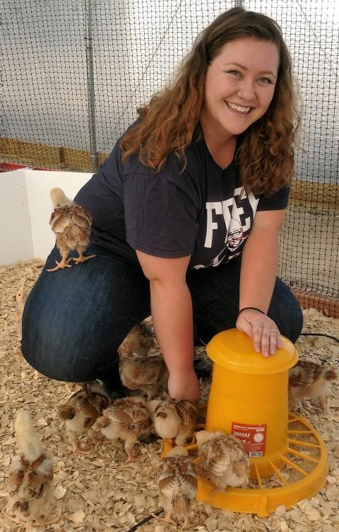 Ashley Bruns cares for chicks 