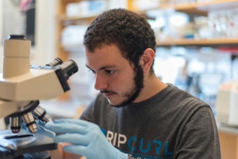 Yusuf Ebrahim '17 peers through a microscope.
