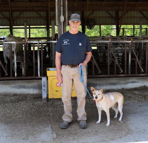 A photo of Fairchild dairy farm manager Jon Whitehouse standing with his dog Dixie.