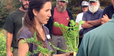 Olivia Saunders with UNH Cooperative Extension discusses the advantages of cover crops with N.H. farmers.