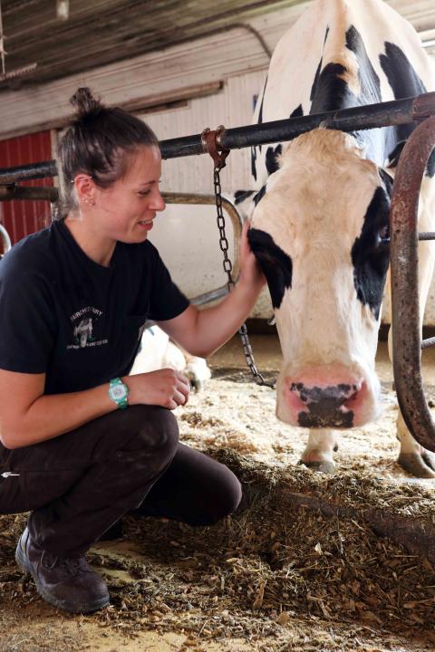 A photo of Rachel Dubanoski with a cow at Fairchild Dairy and Research Center