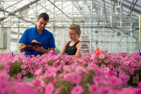 Research at the UNH Macfarlane Research Greenhouses Research at the UNH Macfarlane Research Greenhouses