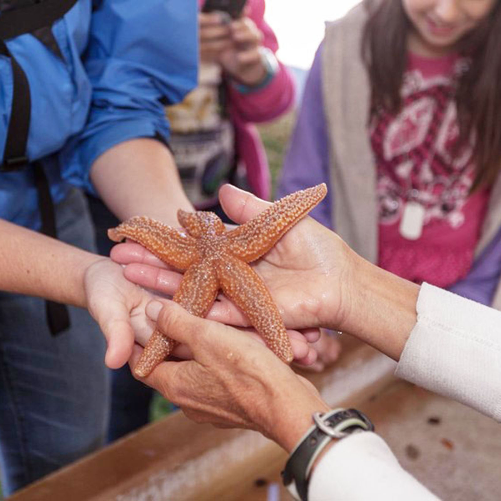 Ocean Discovery Day: Public Open House